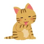 ちよ